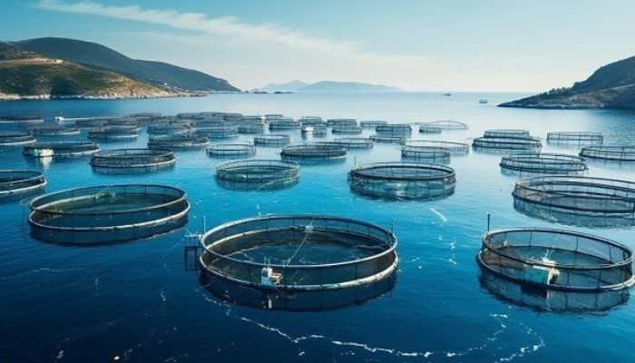 l27c3a9cosystc3a8meiahalieutique